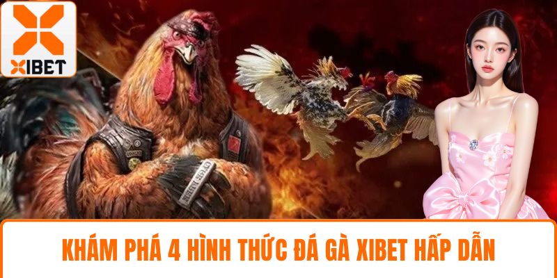 Đá Gà XIBET - Đấu Trường Kịch Tính, Kèo Nóng Bỏng Tay 4 Khám phá 4 hình thức đá gà XIBET hấp dẫn