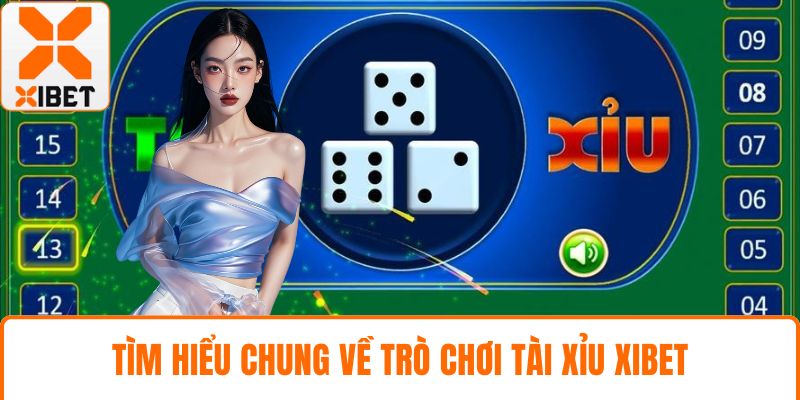 Tài Xỉu XIBET - Khám Phá Trò Chơi Xúc Xắc Hấp Dẫn Nhất 2025 2 Tìm hiểu chung về trò chơi tài xỉu XIBET